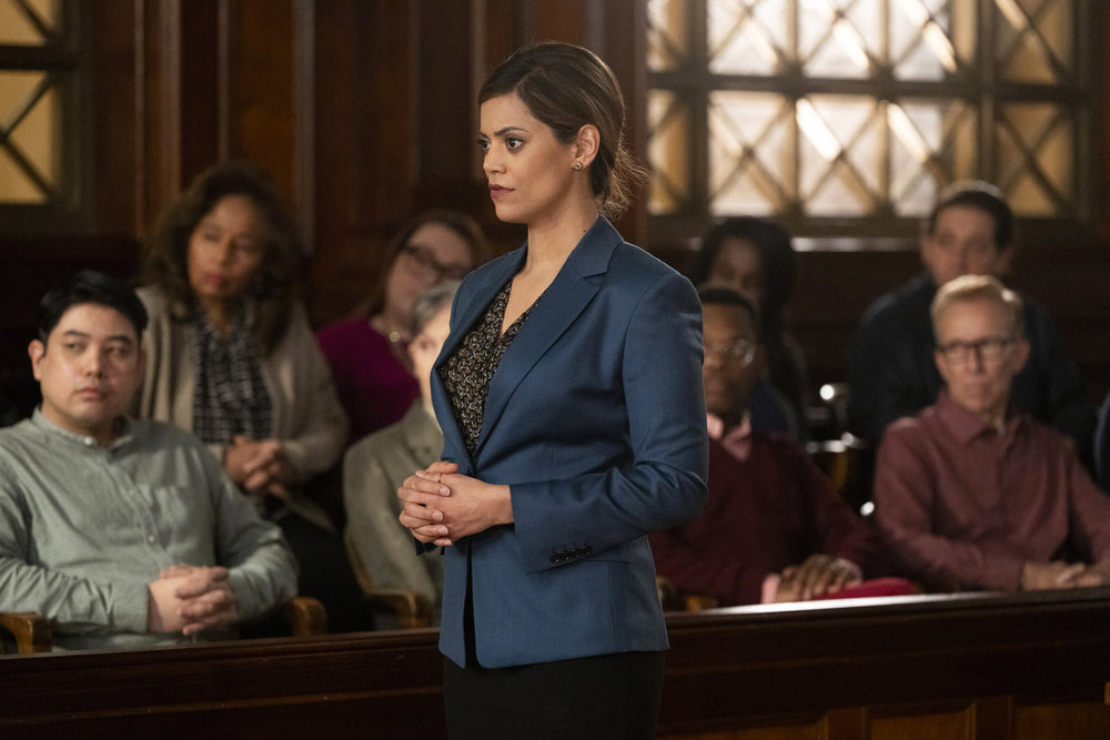 Law & Order Season 23 Episode 9 - Sara Haider as Wendy Stratford presents her witness for the jury.