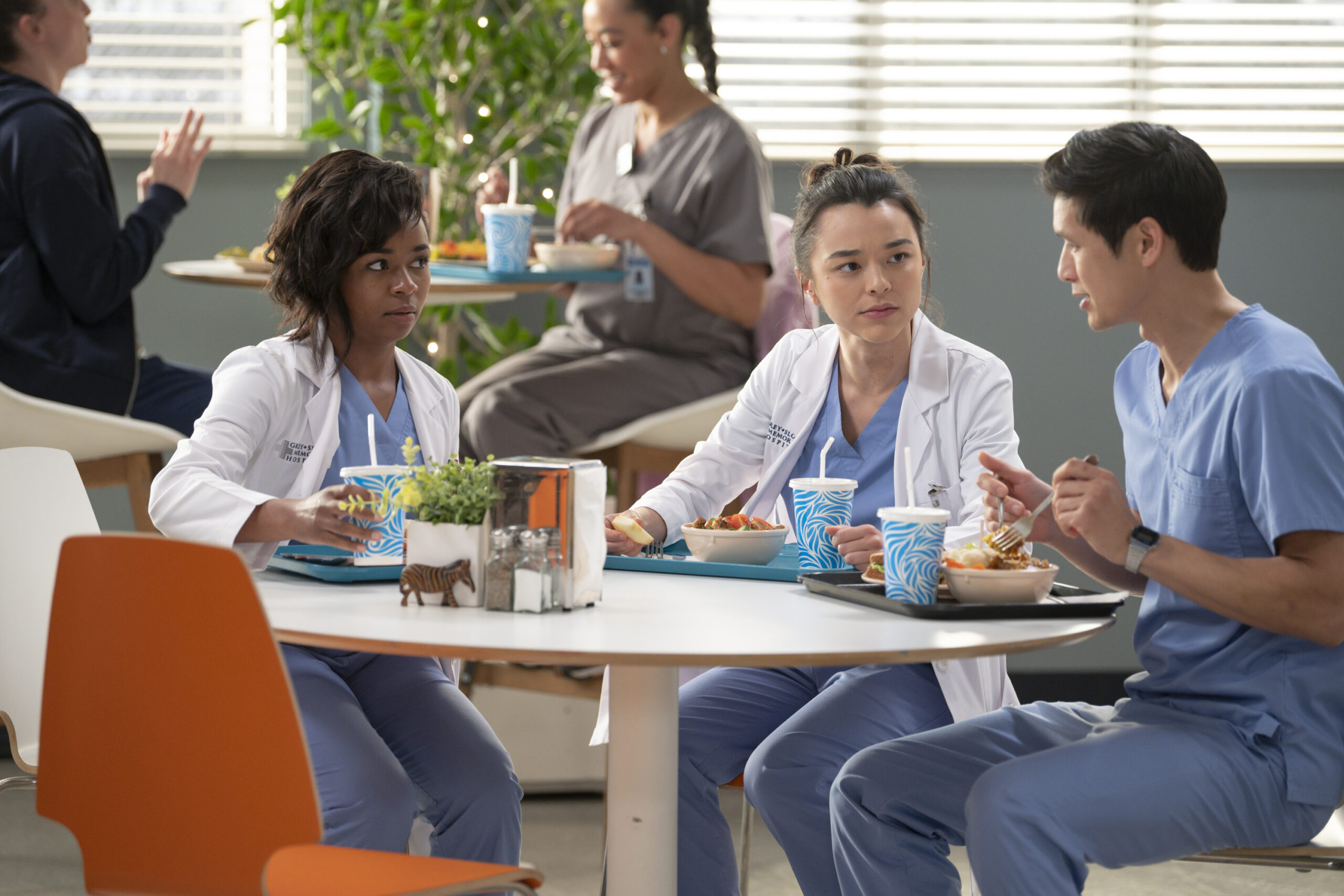 Grey's Anatomy Season 20 Episode - She Used to Be Mine - ALEXIS FLOYD, MIDORI FRANCIS, HARRY SHUM JR.