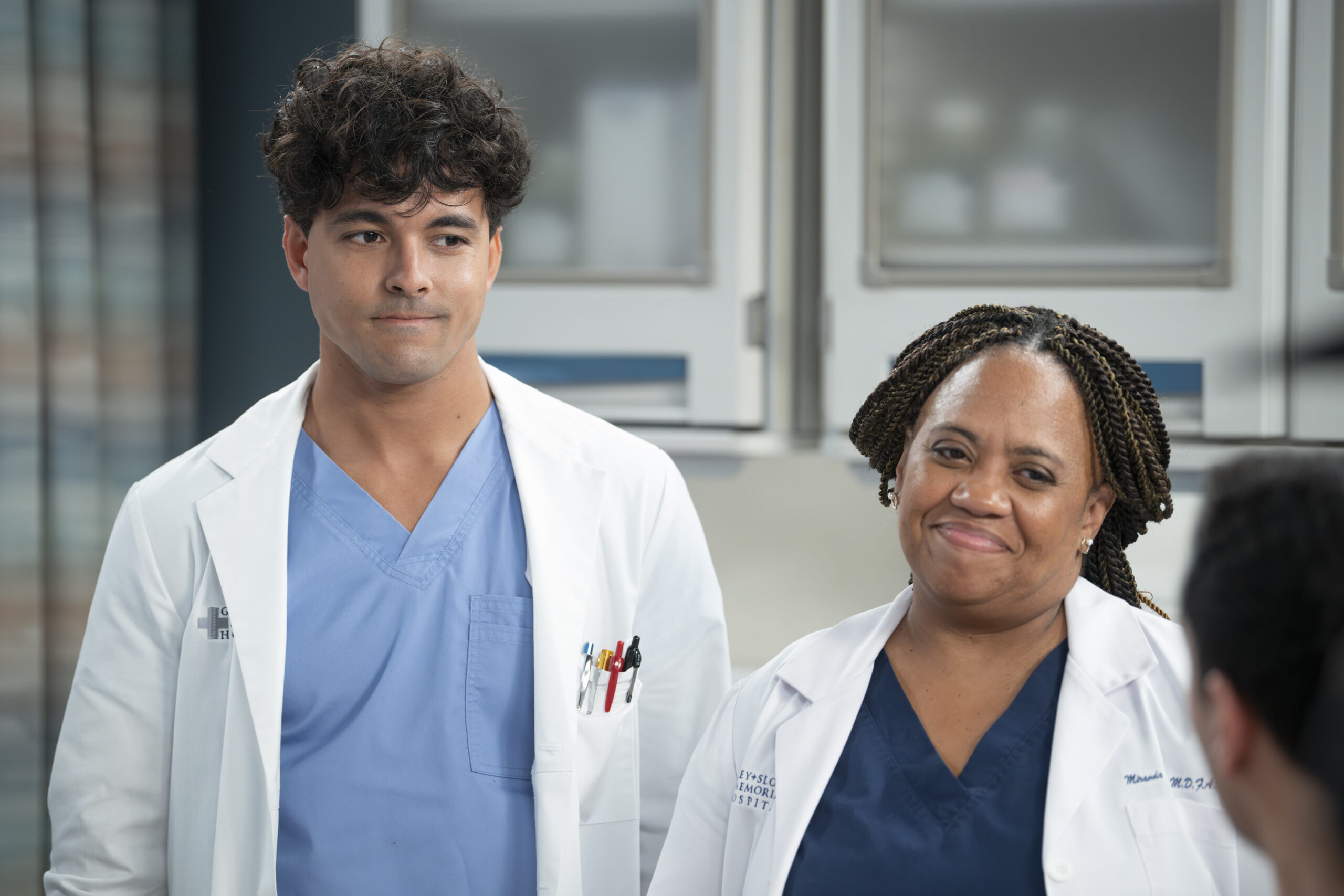 Grey's Anatomy Season 20 Episode - She Used to Be Mine - NIKO TERHO, CHANDRA WILSON