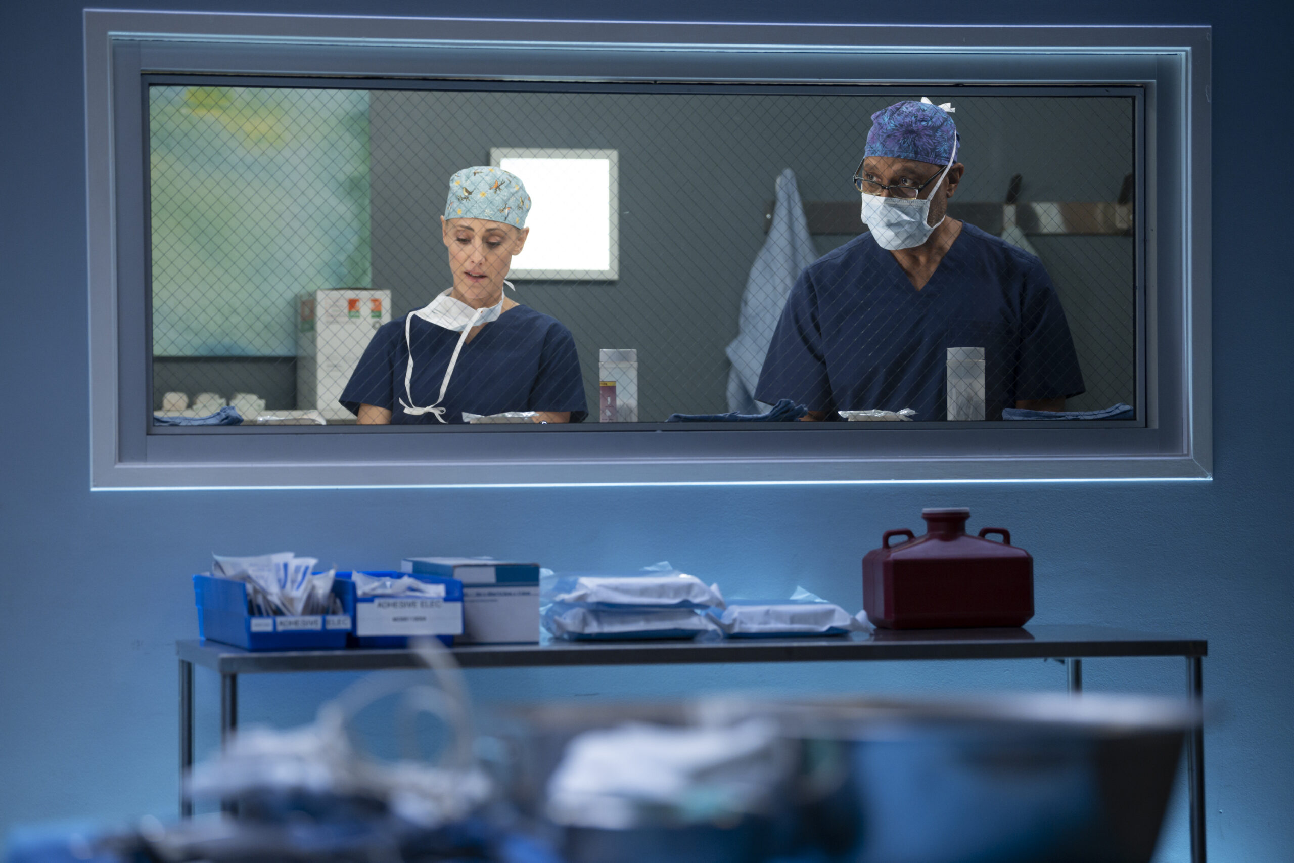 Grey's Anatomy Season 20 Episode - She Used to Be Mine - KIM RAVER, JAMES PICKENS JR.