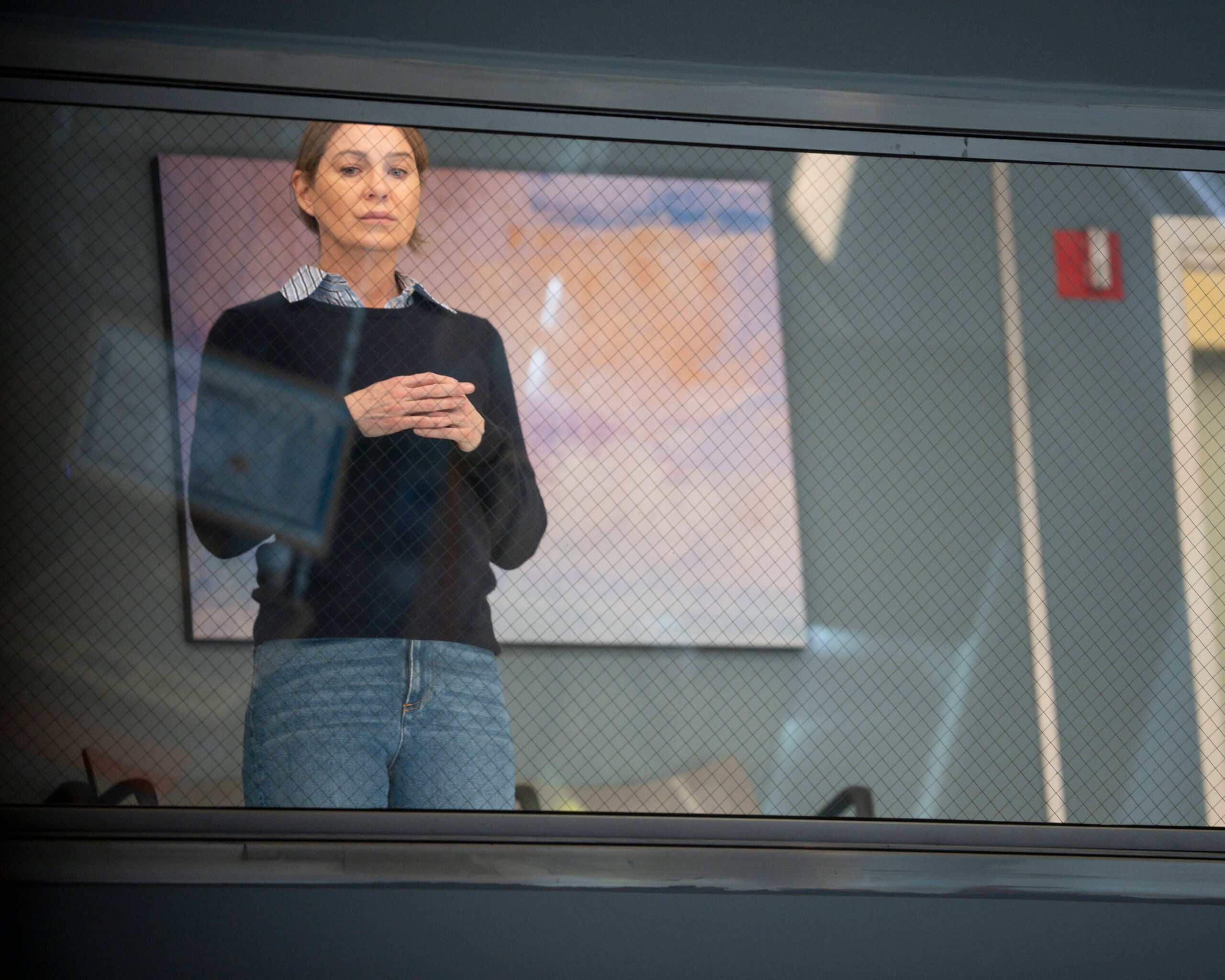 Grey's Anatomy Season 20 Episode 10, Burn it Down -- Ellen Pompeo as Meredith Grey