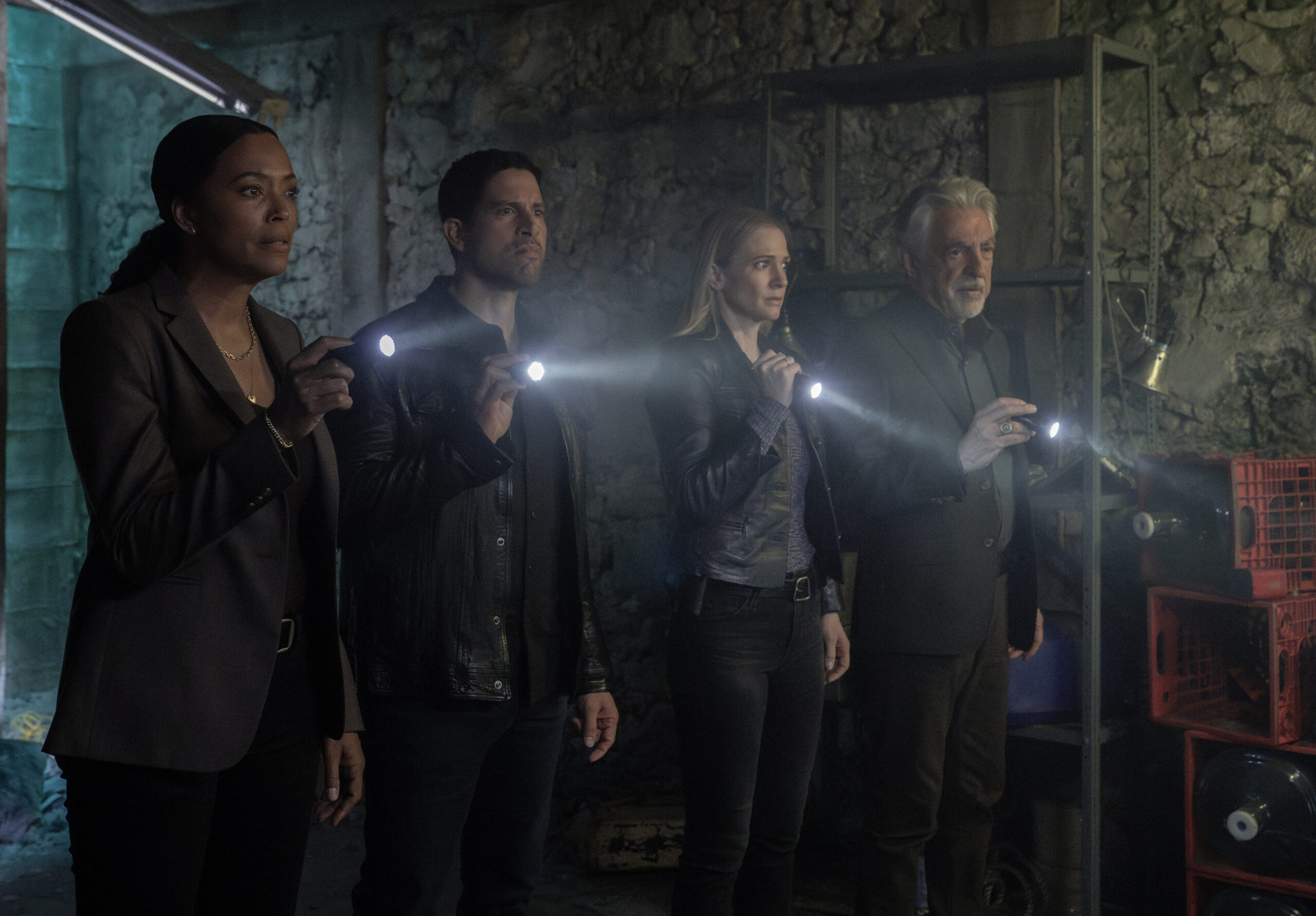 Stars & Stripes - Criminal Minds: Evolution Season 17 Episode 9