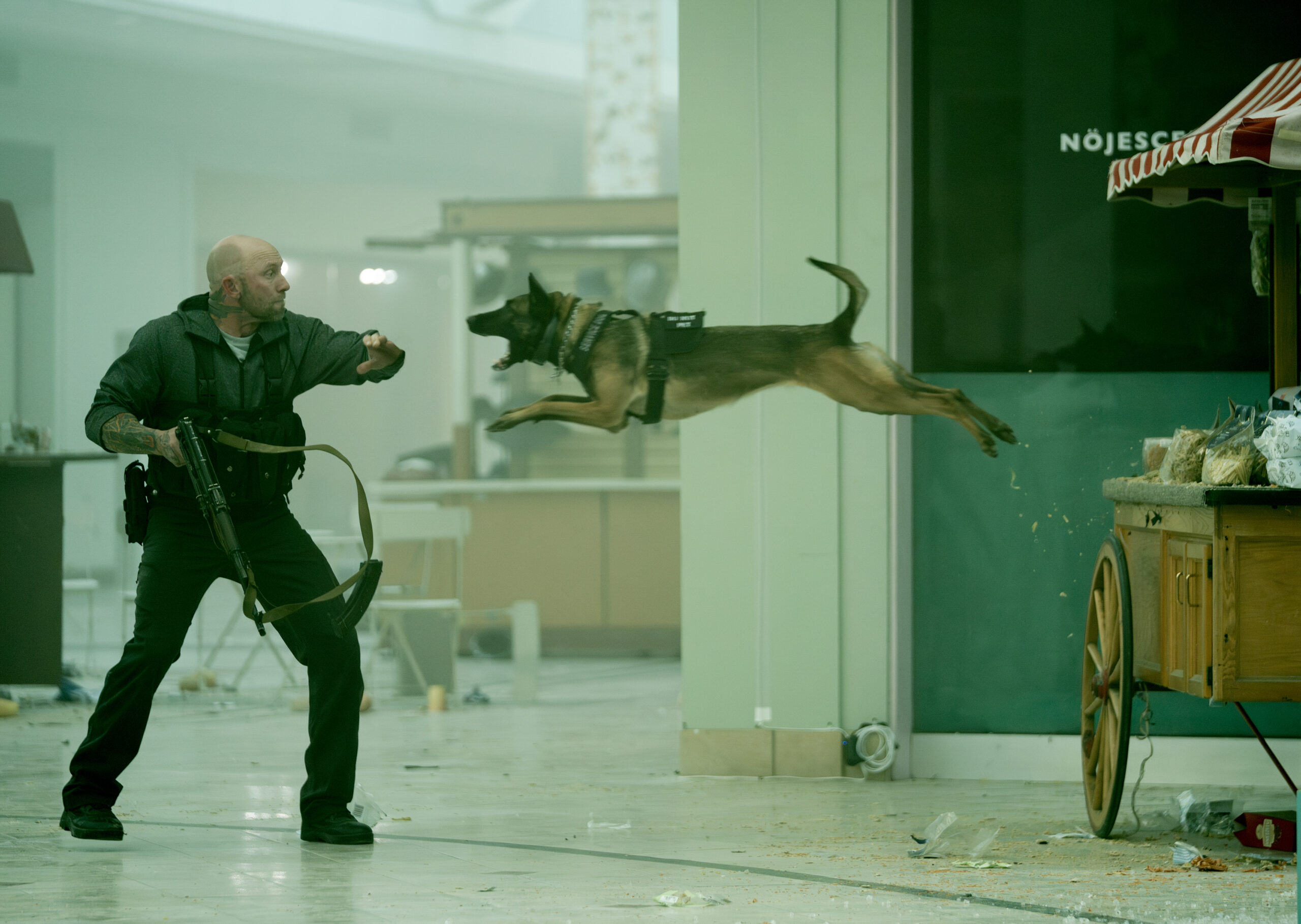 Chaos In The Calm Pt. 2