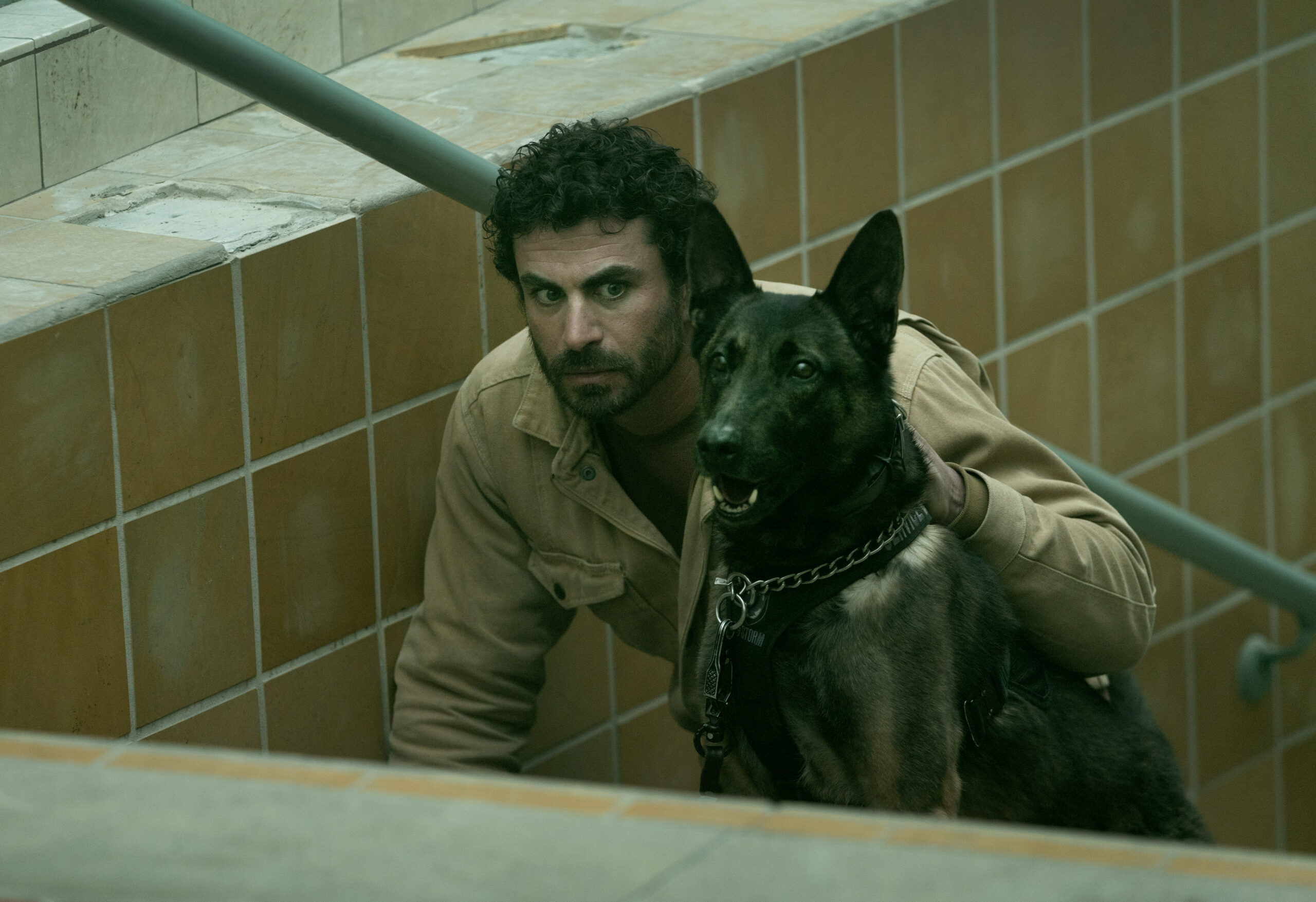 Chaos In The Calm Pt. 2