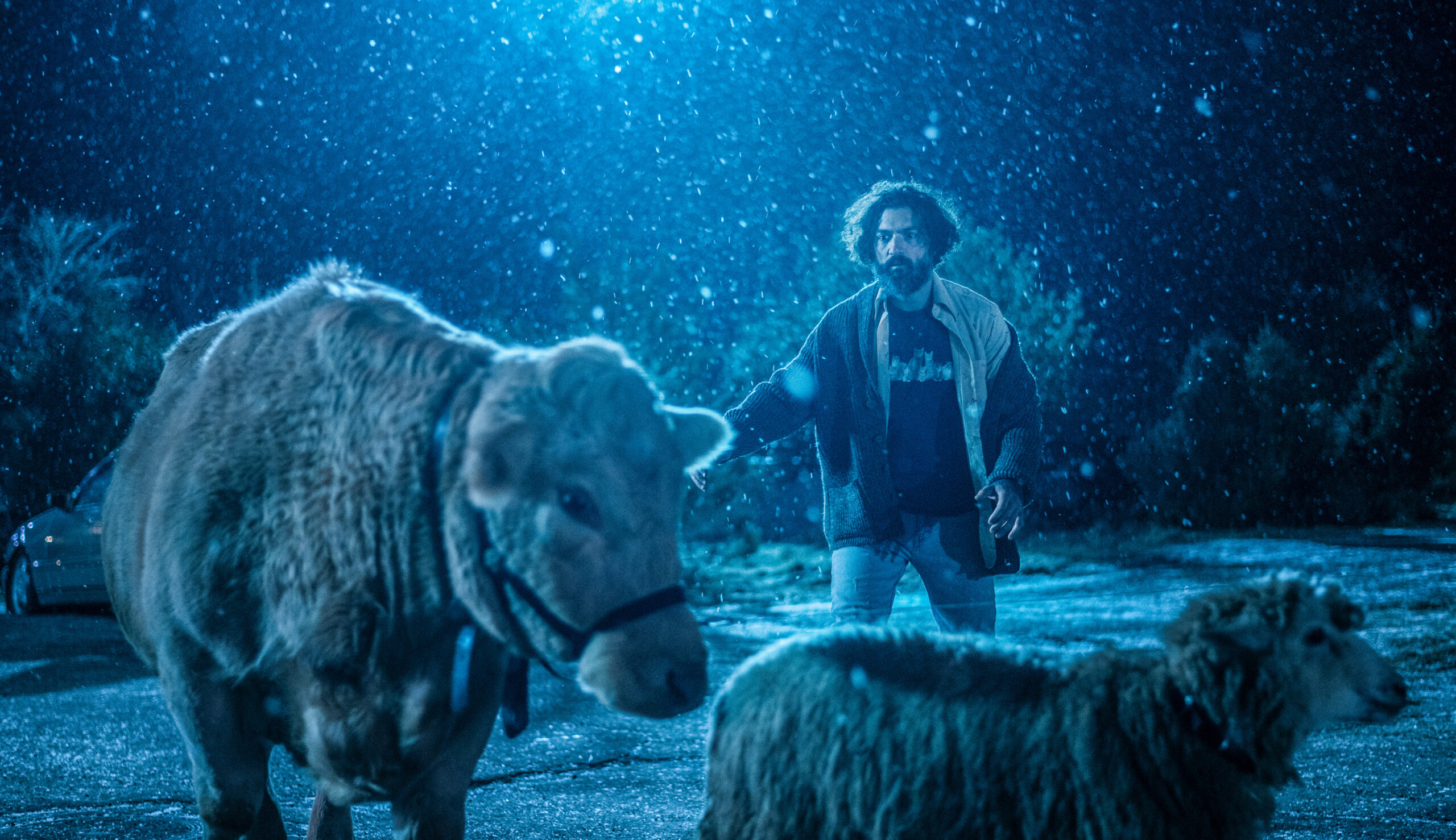 FROM Season 3 Episode 1, "Shatter." | David Alpay on a street with cows