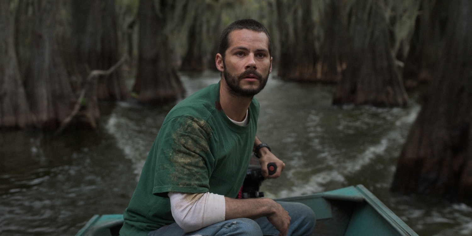 Caddo Lake dylan-o-brien | Tell-Tale TV Caddo Lake dylan-o-brien