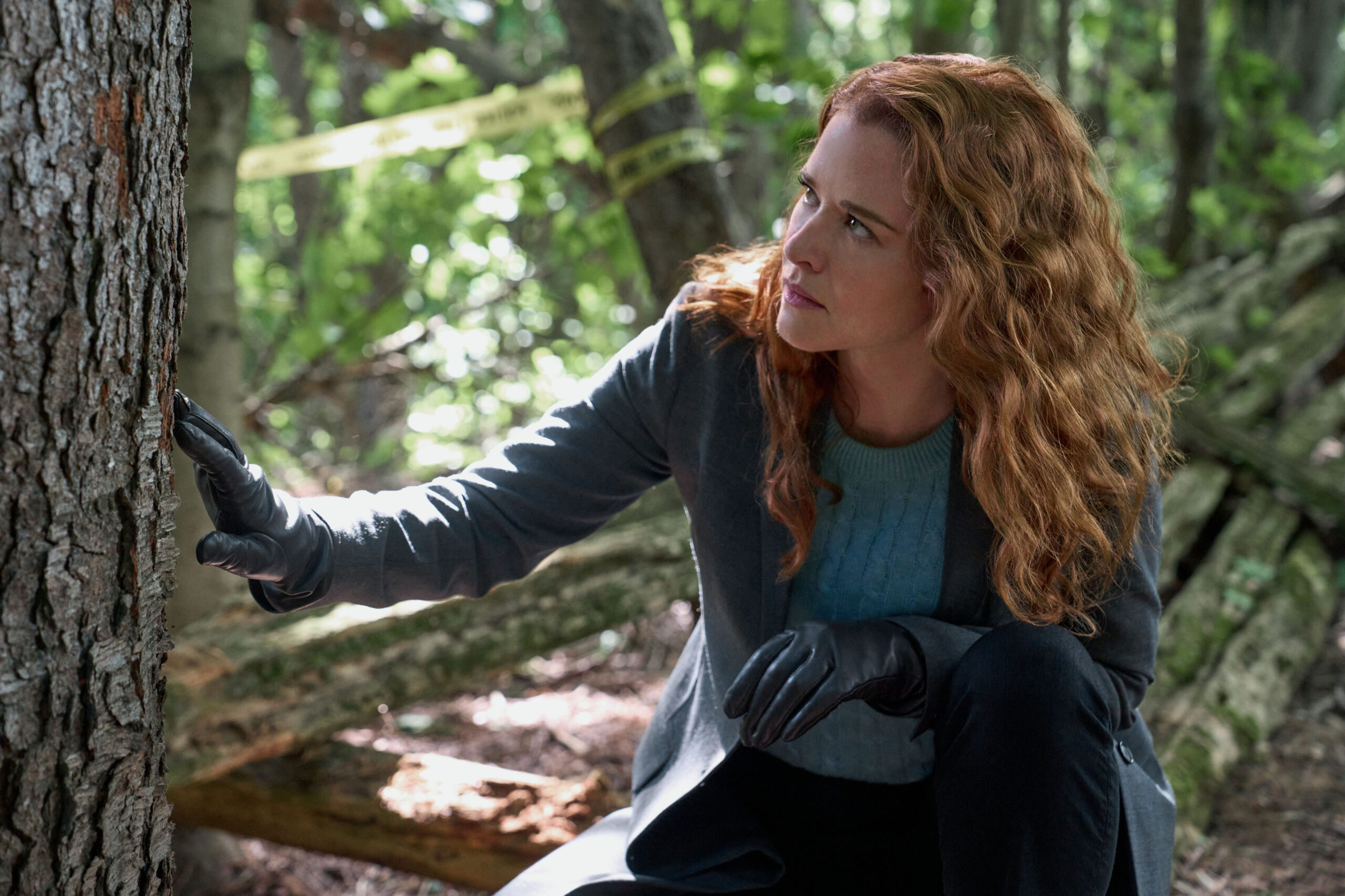 Sarah Drew as Emily Lane -Mistletoe Murders | Tell-Tale TV Sarah Drew as Emily Lane - Mistletoe Murders