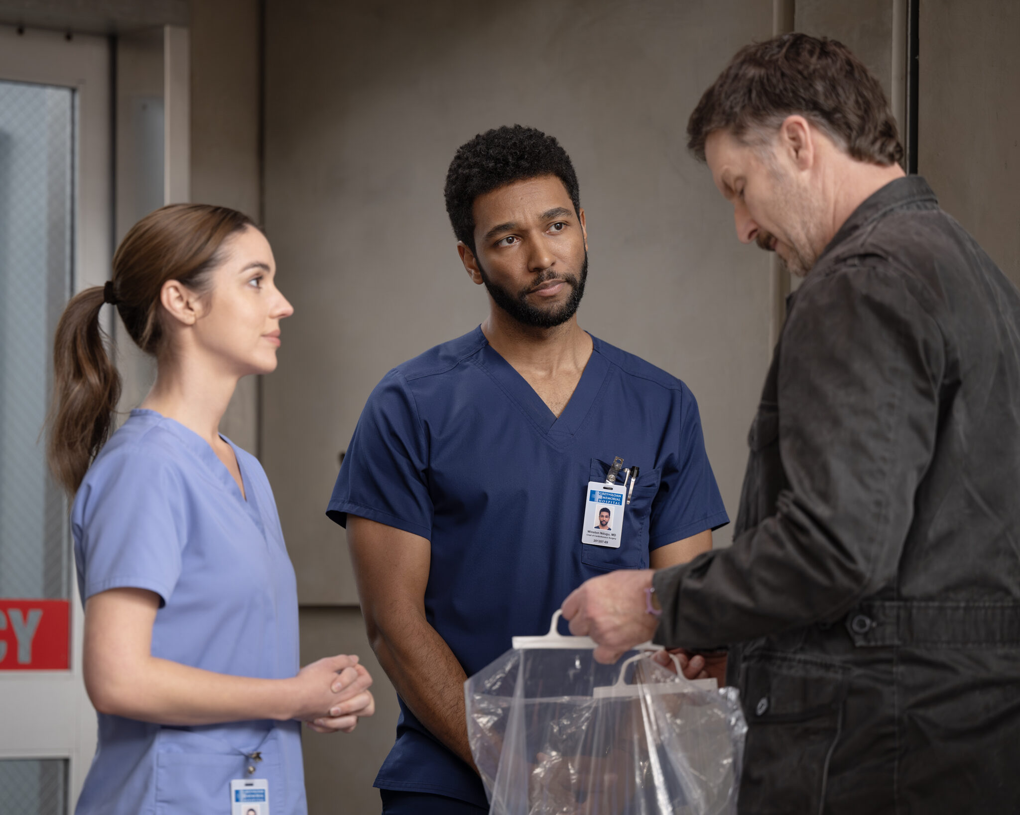 grey's anatomy 21 x 17
