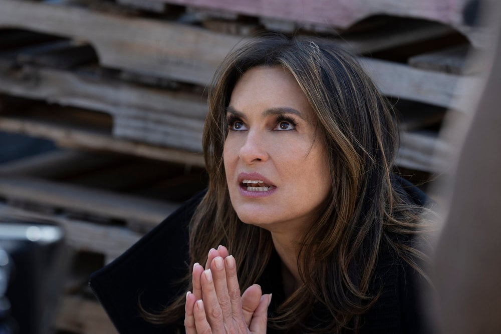 Law & Order – Season 24