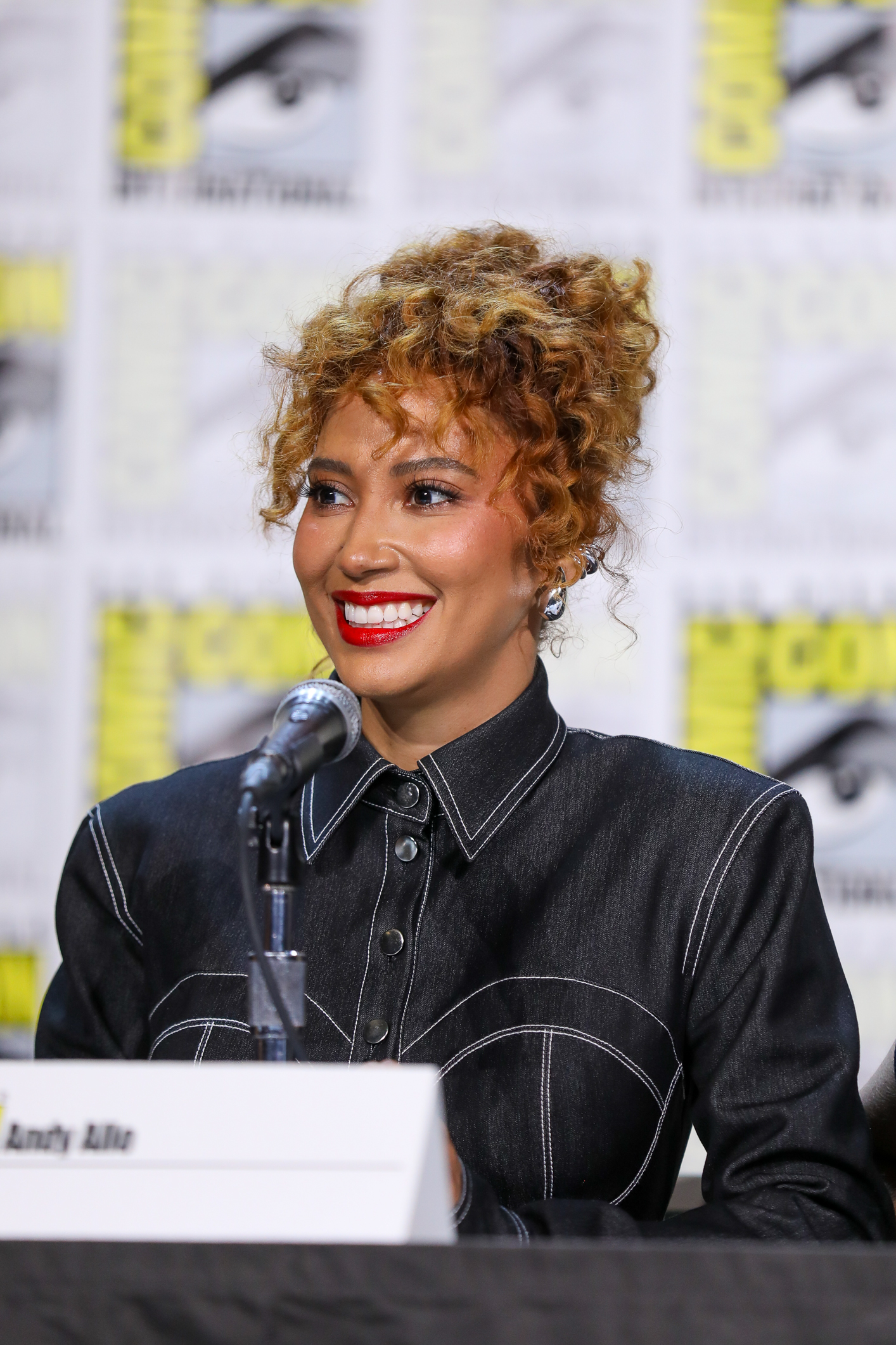 Upload SDCC Panel 2025