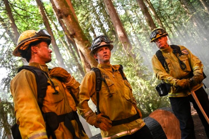 Fire Country Season 4 Episode 2 Not a Stray Fire Country Season 4 Episode 2 Review: Not a Stray 
