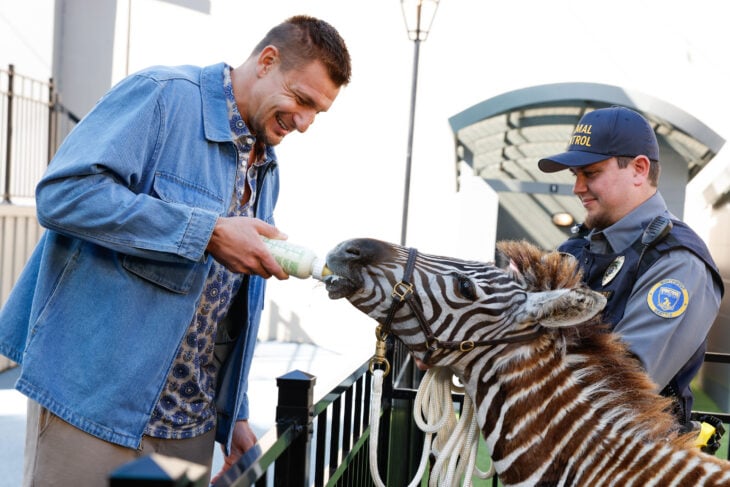 Animal Control Season 4 Episode 3, "Dragons and Dognappers" -- Rob Gronkowski Animal Control Season 4 Episode 3 Preview: Dragons and Dognappers 