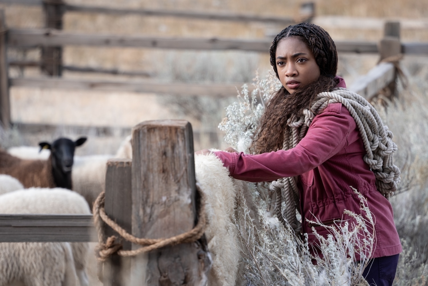 PERCY JACKSON AND THE OLYMPIANS - “Episode 206” (Disney/David Bukach)LEAH SAVA JEFFRIES