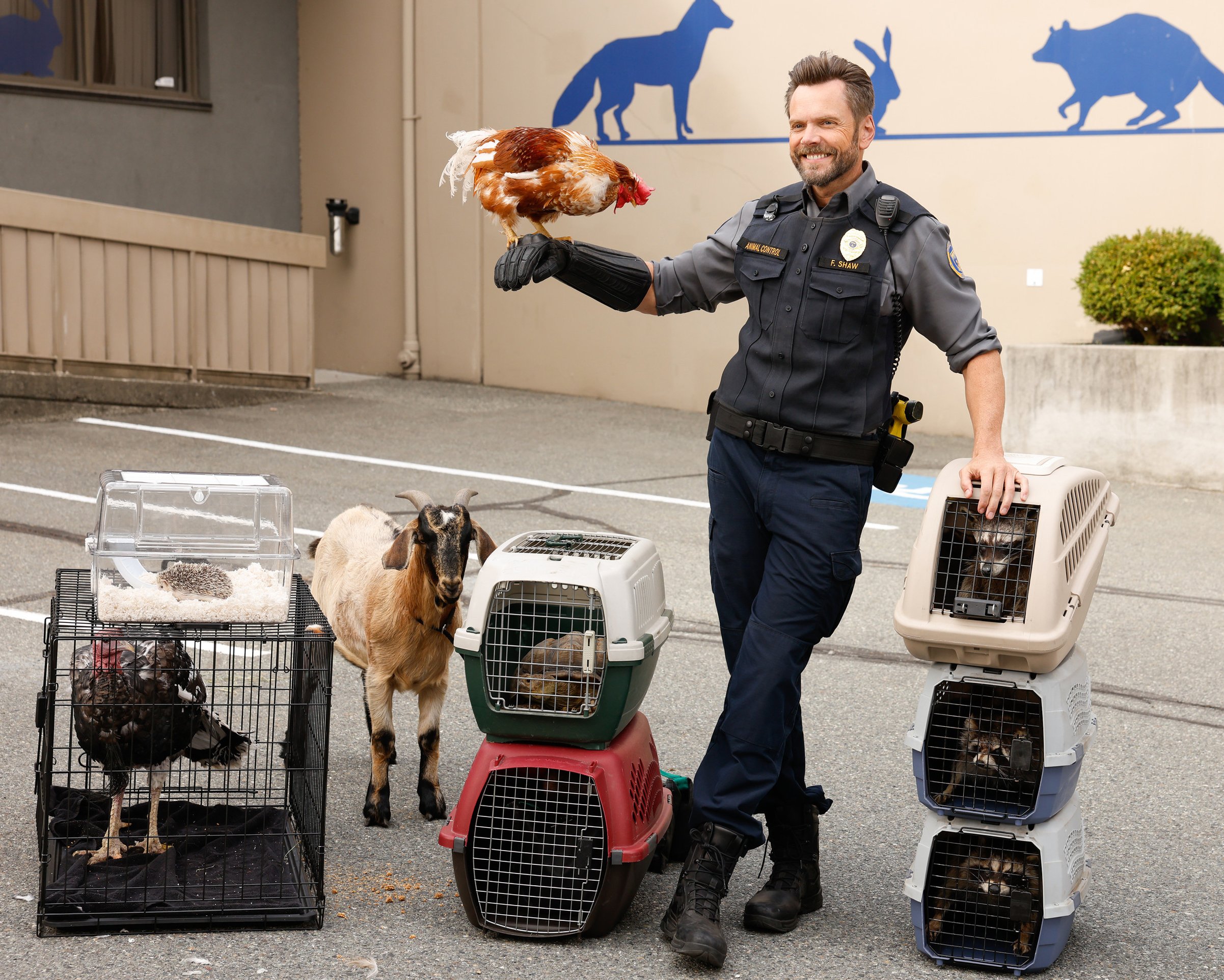 Controle de animais, temporada 4, episódio 6, 