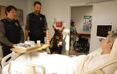 Animal Control Season 4 Episode 7, "Donkeys and Weasels" -- Michael Rowland and Joel McHale Animal Control Season 4 Episode 7 Review: Donkeys and Weasels 