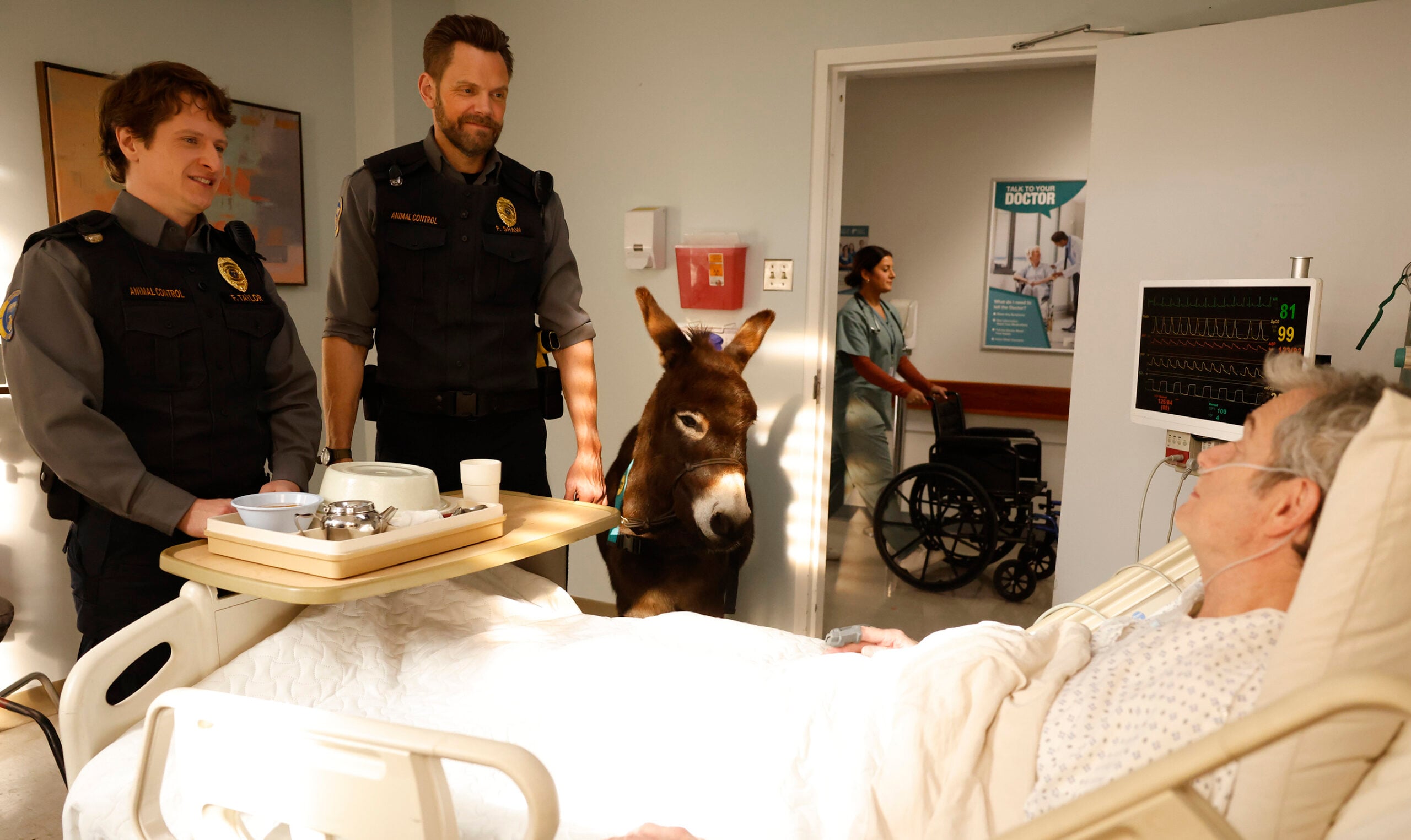 Controle de animais, temporada 4, episódio 7, 