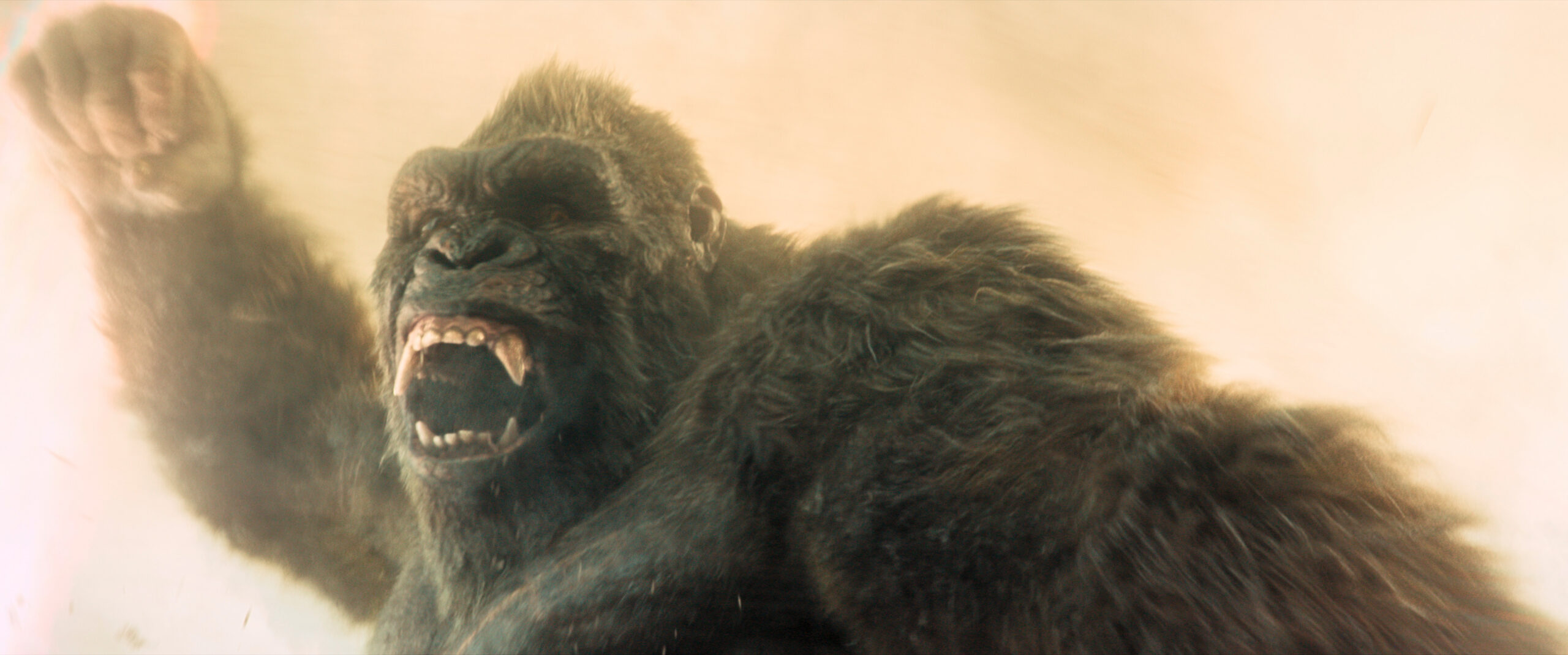 Monarch: Legacy of Monsters Season 2 Episode 2 - Kong | Tell-Tale TV Still of Kong from Monarch: Legacy of Monsters Season 2 Episode 2