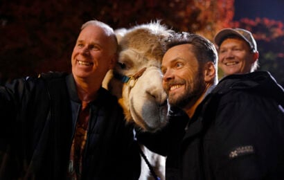Animal Control Season 4 Episode 9, "Bats and Camels" -- Gerry Dee and Joel McHale Animal Control Season 4 Episode 9 Review: Bats and Camels 