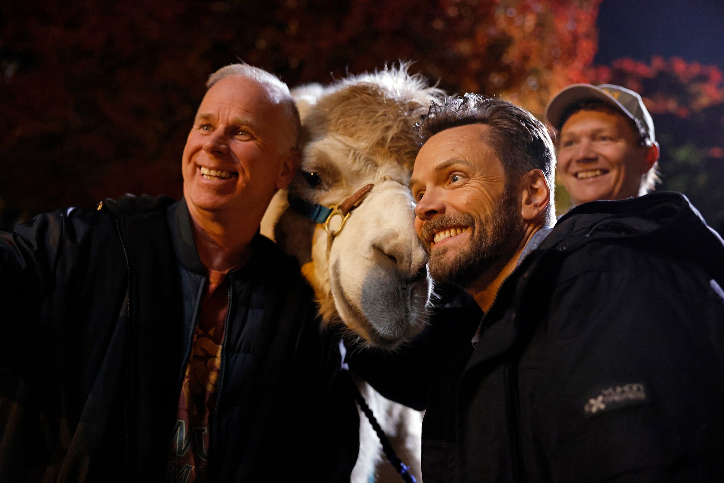 Animal Control Season 4 Episode 9, "Bats and Camels" -- Gerry Dee and Joel McHale