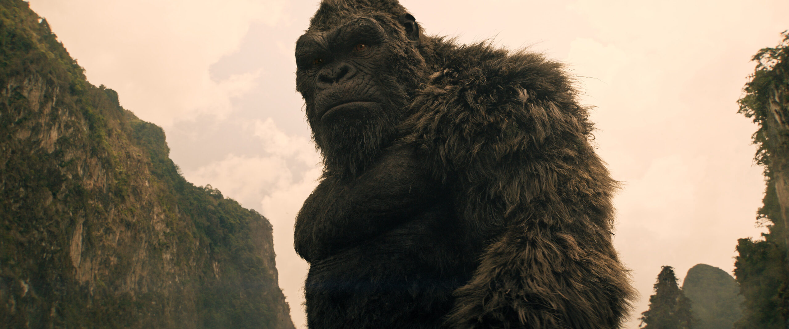 Still from Monarch: Legacy of Monsters Season 2 Episode 6 of King Kong