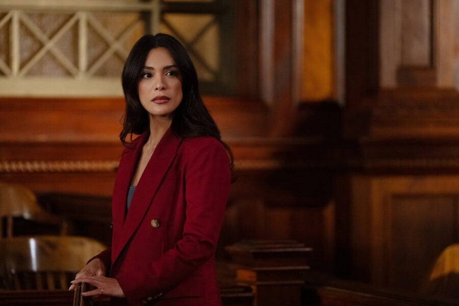 Lei e Ordem, temporada 25, episódio 15, 