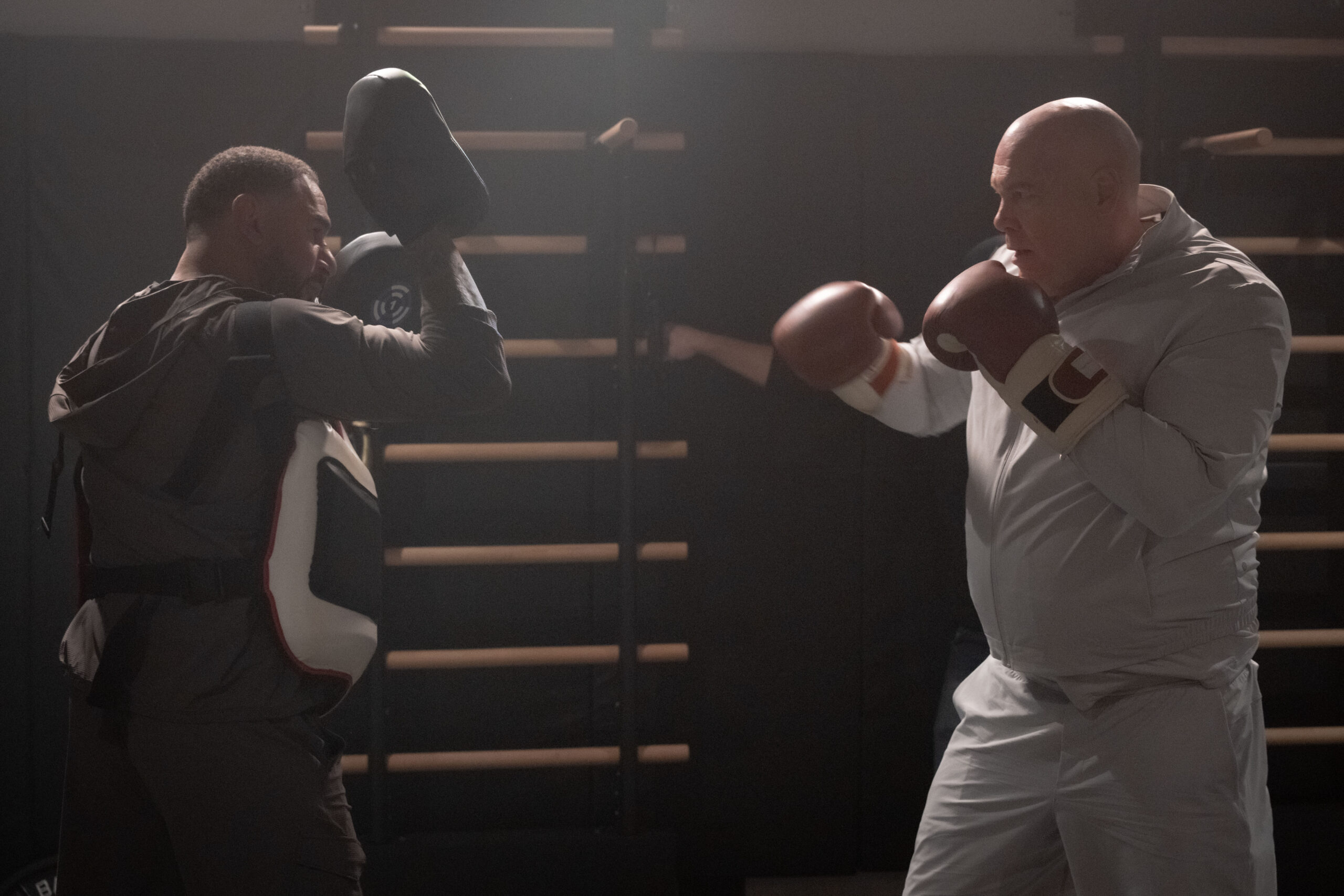 DAREDEVIL: BORN AGAIN SEASON 2