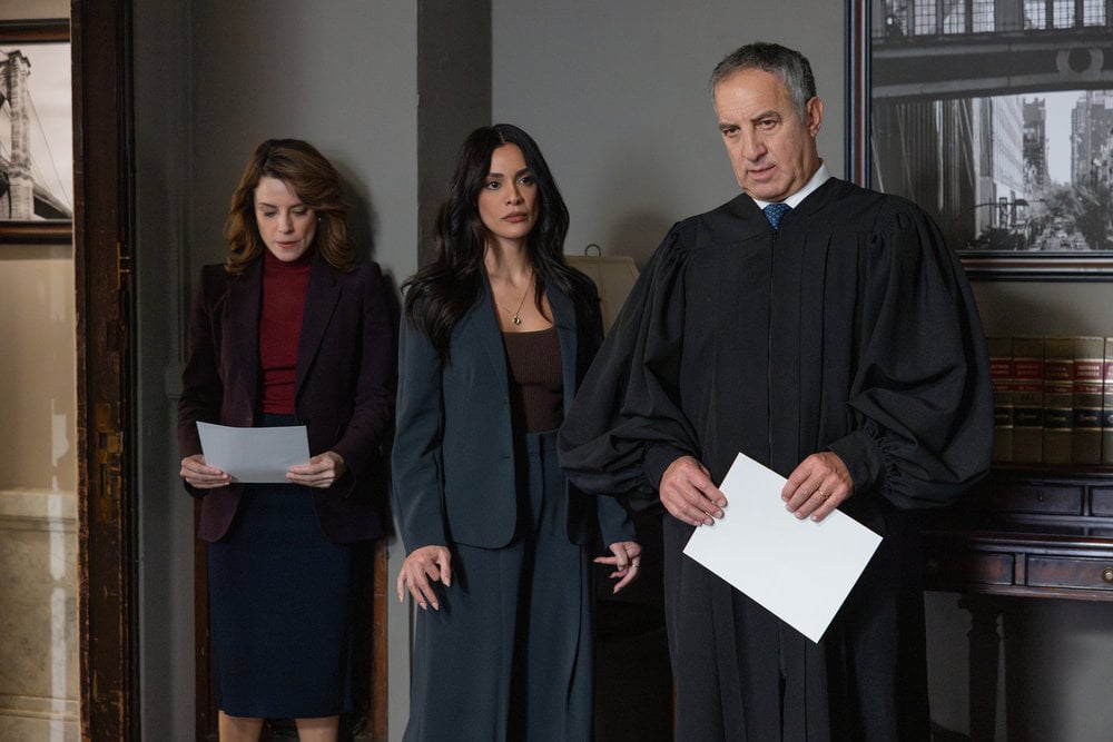 Law & Order – Season 25