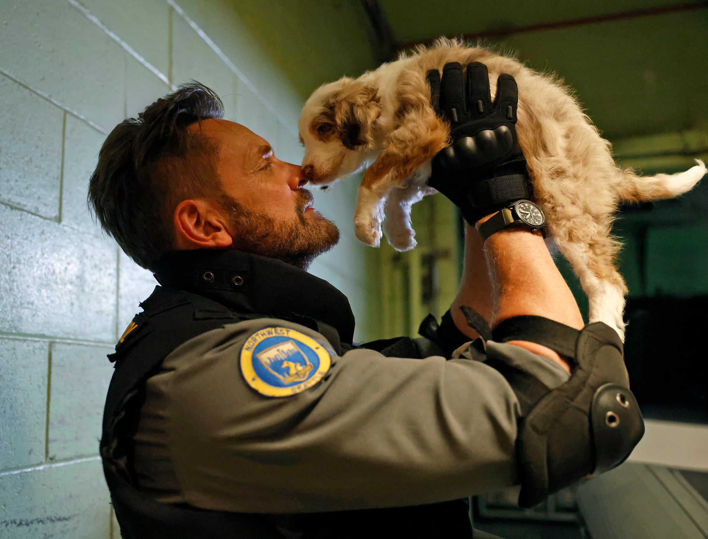 Still from Animal Control Season 5 Episode 1 or Joel McHale. What to Watch on TV This Week: All American, Scrubs, East of Eden and More Still from Animal Control Season 5 Episode 1 or Joel McHale.