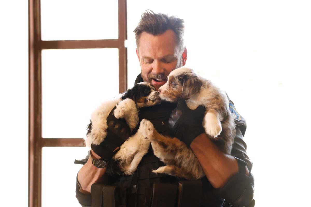 Animal Control Season 5 Episode 1, "Seahawks and Piglets" | Tell-Tale TV Animal Control Season 5 Episode 1, "Seahawks and Piglets" -- Joel McHale Animal Control Season 5 Episode 1 Preview: The Pack Is Back with a Memorable Villain