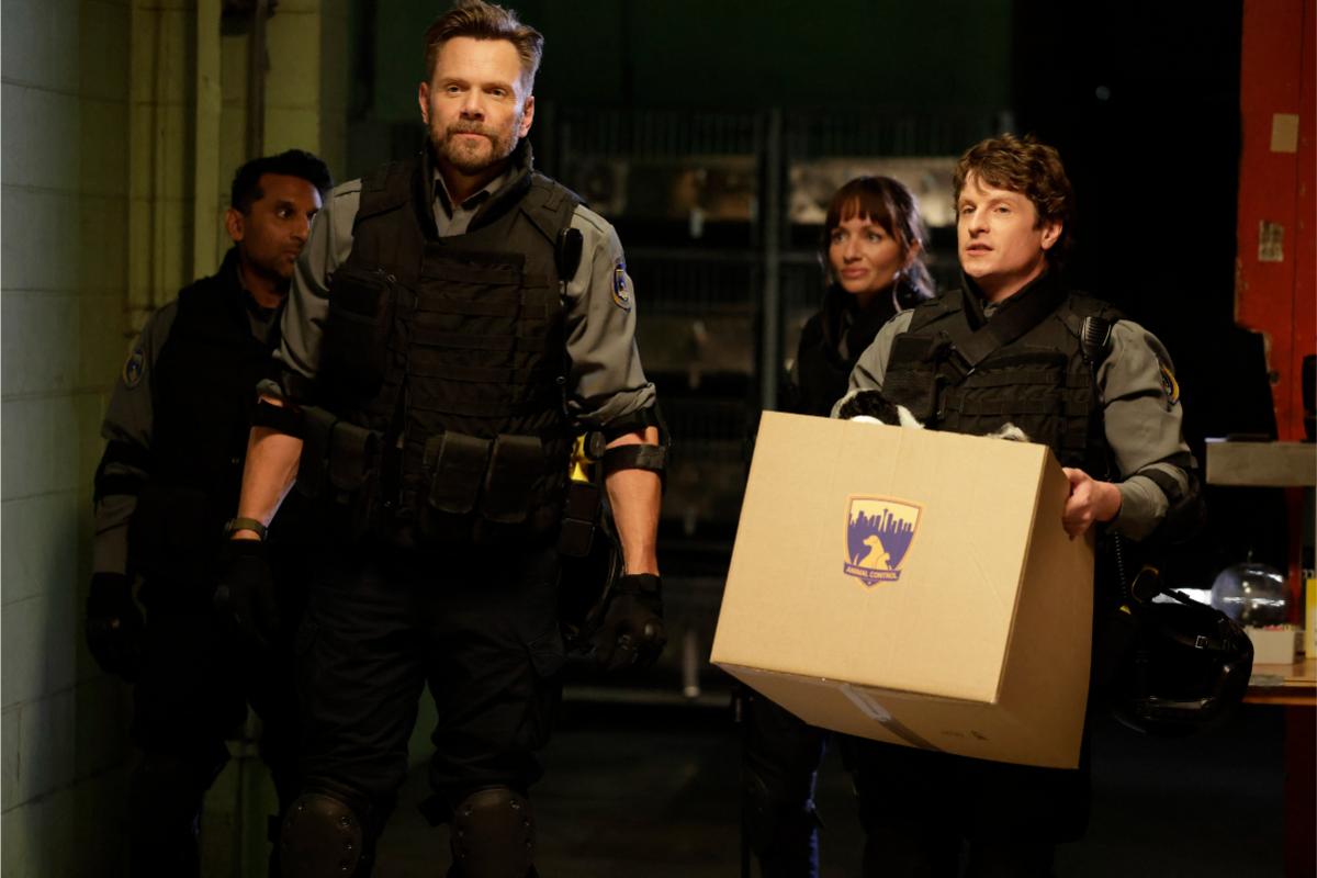 Animal Control Season 5 Episode 1, "Seahawks and Piglets" | Tell-Tale TV Animal Control Season 5 Episode 1, "Seahawks and Piglets" -- Ravi Patel, Joel McHale, Grace Palmer and Michael Rowland Animal Control Season 5 Episode 1 Preview: The Pack Is Back with a Memorable Villain