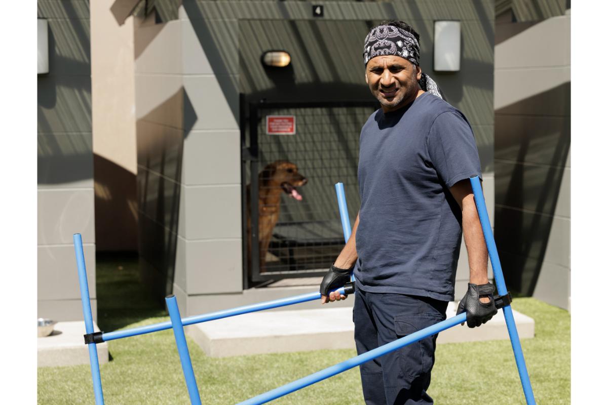 Animal Control Season 5 Episode 1, "Seahawks and Piglets" | Tell-Tale TV Animal Control Season 5 Episode 1, "Seahawks and Piglets" -- Ravi Patel Animal Control Season 5 Episode 1 Preview: The Pack Is Back with a Memorable Villain