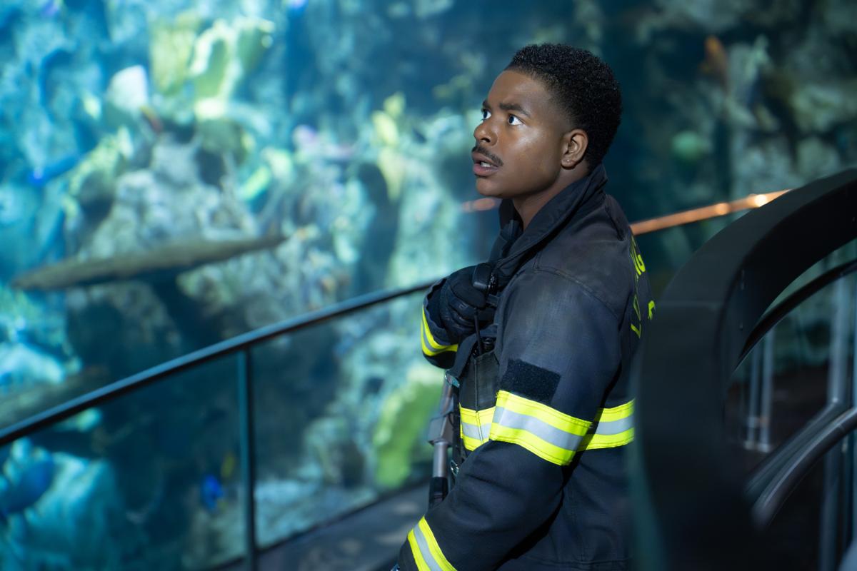 9-1-1 Season 10 Episode 1, "That Sinking Feeling" | Tell-Tale TV 9-1-1 Season 10 Episode 1, "That Sinking Feeling" -- ELIJAH M. COOPER 9-1-1 Season 10 Episode 1 Preview: The 118 Braces for Impact Ahead of the Volcano 9-1-1 – “That Sinking Feeling” – The 118 faces an earth-shattering emergency that shakes the city of Los Angeles to its core. Still finding her footing as a detective, Athena leans on instinct to crack a mysterious new case, while May finds her own confidence in a new job. THURSDAY, OCT. 15 (8:00-9:00 p.m. EDT) on ABC. (Disney/Christopher Willard) ELIJAH M. COOPER