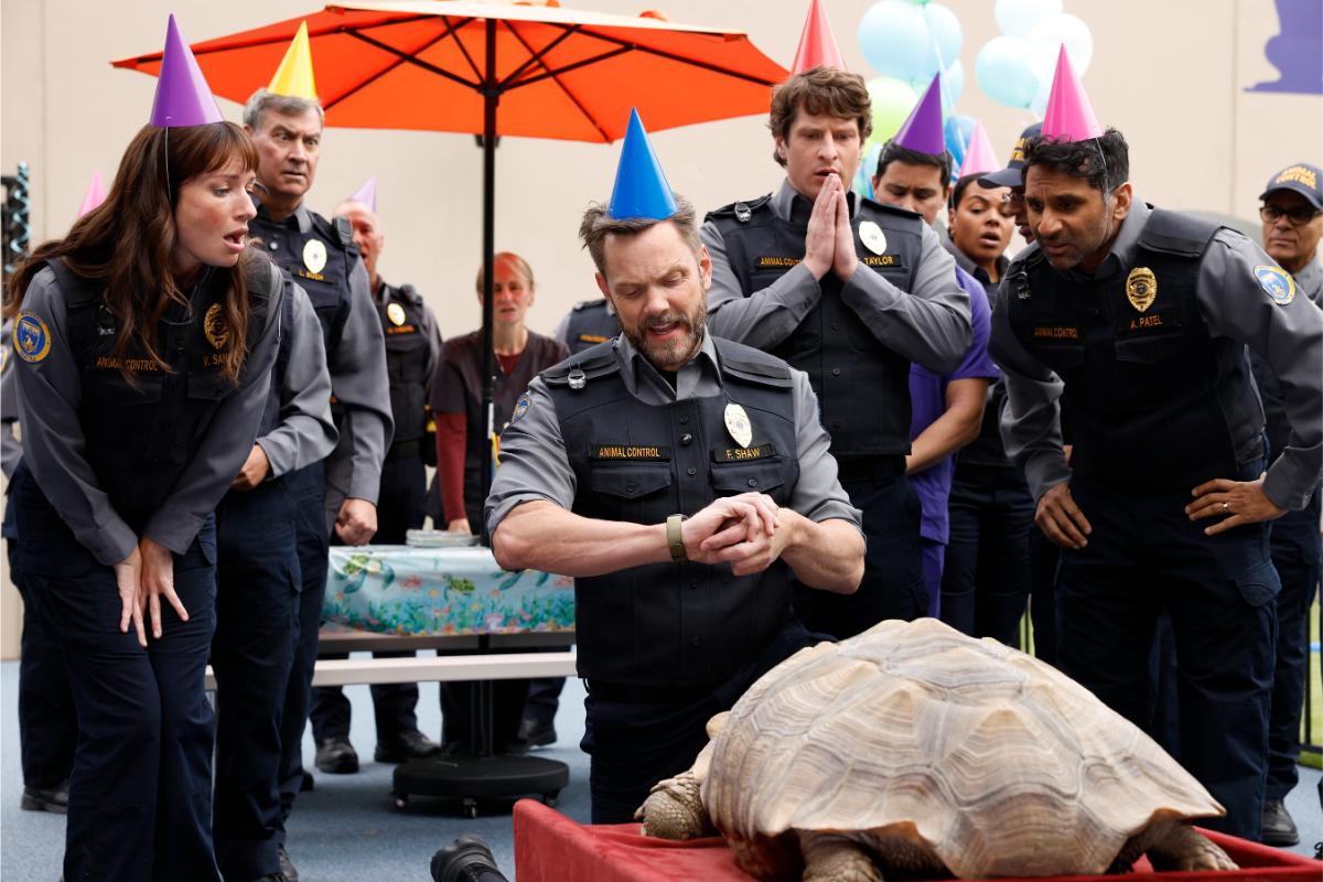 Animal Control Season 5 Episode 4, "Tortoises and Billy Goats" Animal Control Season 5 Episode 4 Preview: Will Emily Finally Get Her Job Back?
