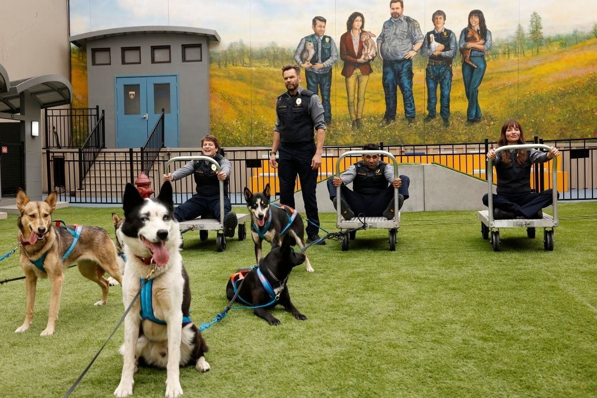 Animal Control Season 5 Episode 5, "Sled Dogs and Kitty Litter" Animal Control Season 5 Episode 5 Preview: It’s Date Night