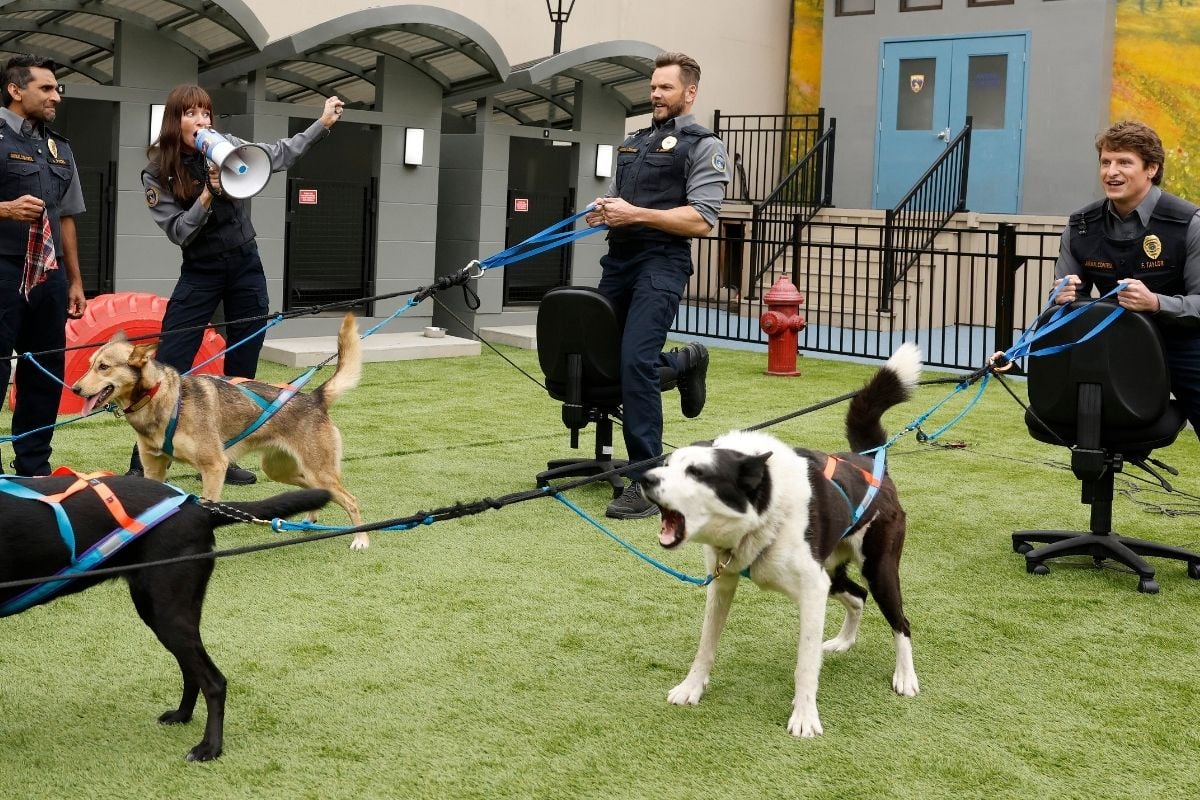 Animal Control Season 5 Episode 5, "Sled Dogs and Kitty Litter" Animal Control Season 5 Episode 5 Preview: It’s Date Night