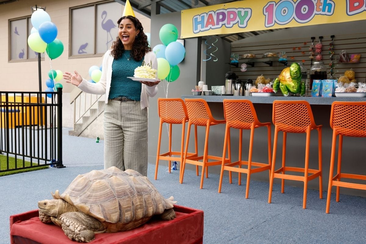 Animal Control Season 5 Episode 4, "Tortoises and Billy Goats" Animal Control Season 5 Episode 4 Preview: Will Emily Finally Get Her Job Back?